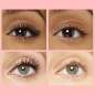 Lash Paradise Lash Paradise