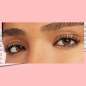 Lash Paradise Lash Paradise