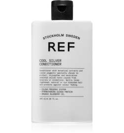 Cool Silver Conditioner