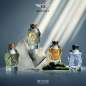 Beyond The Collection Majestic Cashmere Beyond The Collection Majestic Cashmere