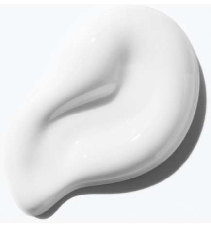 Curl Manifesto Crème De Jour Fondamentale