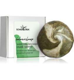 Hair Care Solid Shampoo