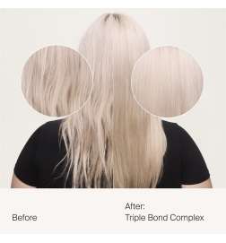 Triple Bond Complex