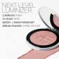 Light Reflecting™ Powder Luminizer Light Reflecting™ Powder Luminizer