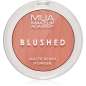 Blushed Powder Blusher