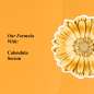 Calendula Serum-Infused Water Cream