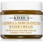 Calendula Serum-Infused Water Cream