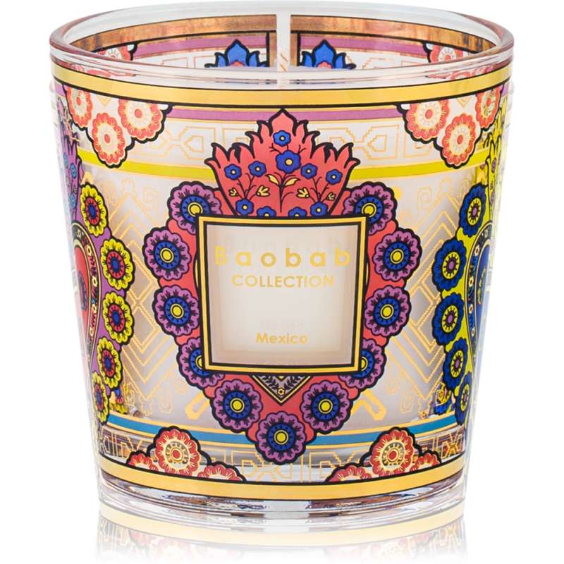 My First Baobab Mexico My First Baobab Mexico