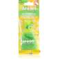 Pearls Citrus Squash Pearls Citrus Squash