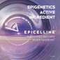 Cellular Epigenetics Cellular Epigenetics