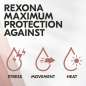 Maximum Protection Clean Scent Maximum Protection Clean Scent