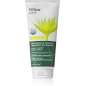 Green Firming Green Firming