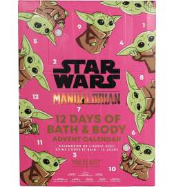 Star Wars The Mandalorian The Child
