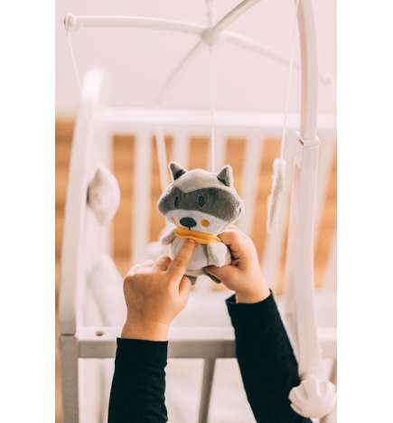 Music Mobile Raccoon