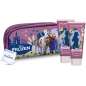 Frozen Beauty Case