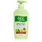 Aloe Vera Aloe Vera