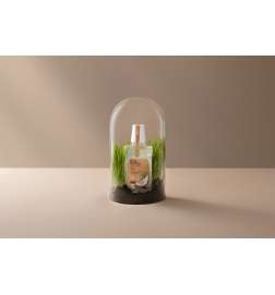 Cosmos Organic Minty Coconut