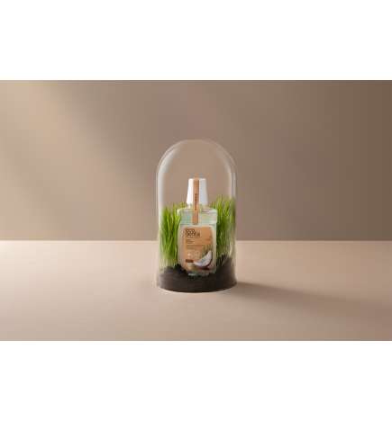 Cosmos Organic Minty Coconut