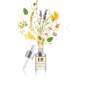 Brilliance Facial Oil Brilliance Facial Oil