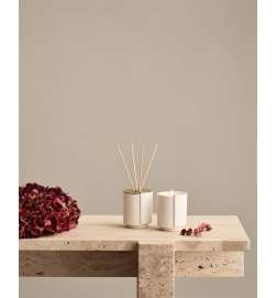 pine & cedar