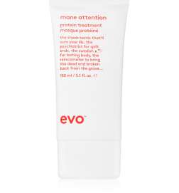 Repair Mane Attention