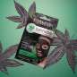 Cannabis