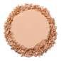 Compact Powder Compact Powder