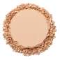 Compact Powder Compact Powder