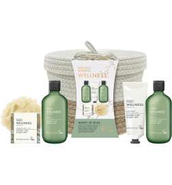 Wellness. Energise
