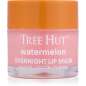 Watermelon Lip Mask Watermelon Lip Mask