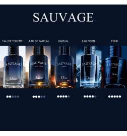 Sauvage Elixir