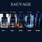 Sauvage Sauvage