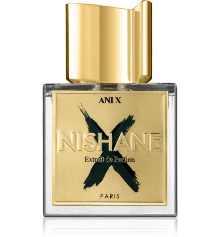 Ani X