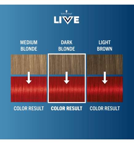 LIVE Intense Colour