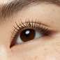 lash WITHOUT LIMITS WATERPROOF lash WITHOUT LIMITS WATERPROOF