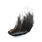 lash WITHOUT LIMITS
