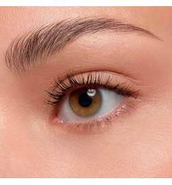 lash WITHOUT LIMITS