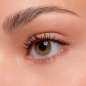 lash WITHOUT LIMITS