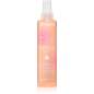 Discipline Spray