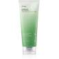 Heartleaf Quercetinol Pore Deep Cleansing Foam