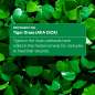 Cicapair™ Tiger Grass Camo Drops SPF 35 Cicapair™ Tiger Grass Camo Drops SPF 35
