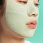 Pore Remedy™ Purifying Mud Mask Pore Remedy™ Purifying Mud Mask