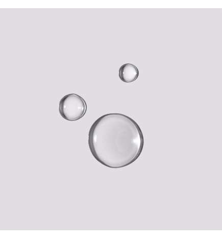 Essence Absolue