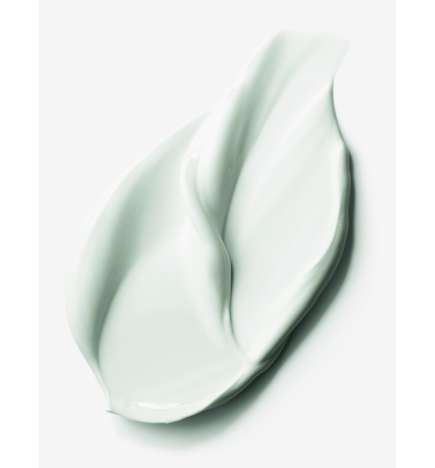 DayWear Multi-Protection Anti-Oxidant 24H-Moisture Creme