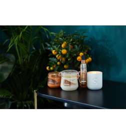 Signature Natural Oils