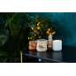 Signature Natural Oils