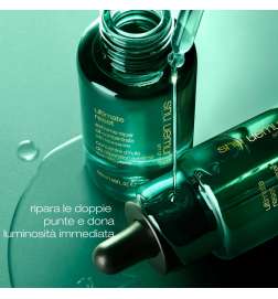 Ultimate Reset