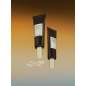 Madagascar Centella Probio-Cica Glow Sun Ampoule
