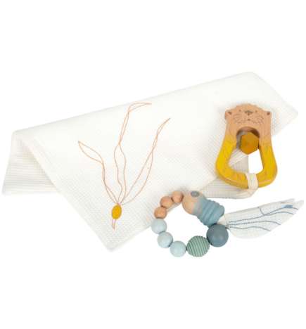 Baby's First Toy Set