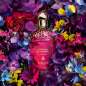 Absolus Allegoria Florabloom Absolus Allegoria Florabloom